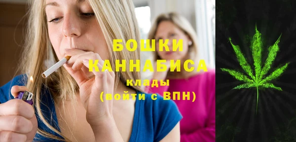 Альфа ПВП Кукмор