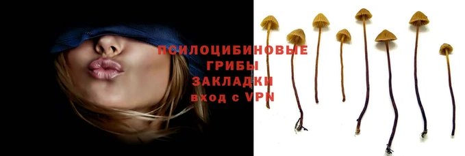 гидропоника Ладушкин