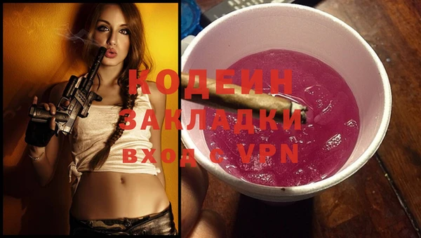 мдпв Лабытнанги