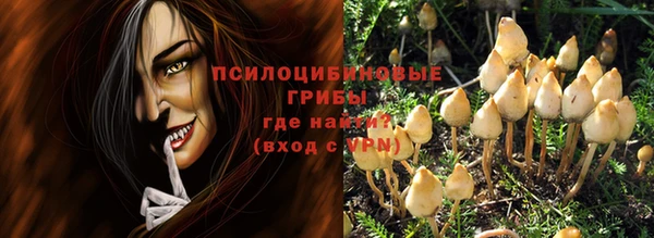 Альфа ПВП Кукмор