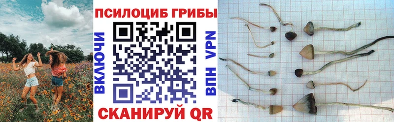 Псилоцибиновые грибы мухоморы  Юрюзань 